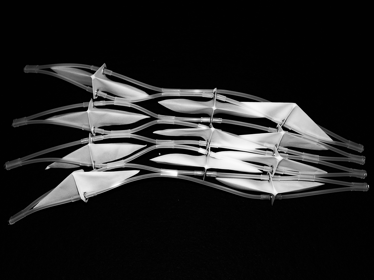 Kinetic Attrition and Regional Grid Instability The Mechanics of Transnational Infrastructure Vulnerability